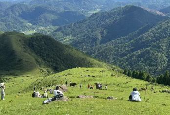 广西玉林六五顶-草甸高山徒步-6公里+难度系数1颗星【品质出游】