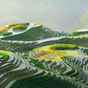 【包车·私家团走高速】桂林龙脊梯田双寨（金坑+平安）一日游