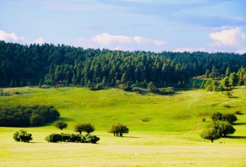 重庆仙女山国家森林公园及三天然桥一日私人游【参观武隆的三座天然桥，这里是联合国教科文组织世界遗产的核心区域，拥有令人叹为观止的地质构造。 享受准时的酒店接送服务，乘坐私人车辆，确保个性化且轻松无忧的旅程。 乘坐电梯下到《变形金刚4》拍摄地，体验电影的拍摄过程，非常适合进行多角度的戏剧性摄影。】
