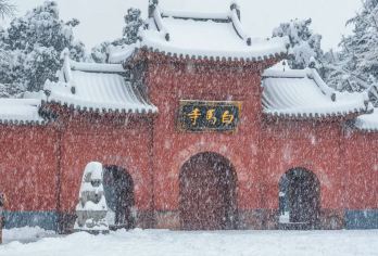 洛阳白马寺门票+1～2H大咖匠心讲解+多场次可选【严选行业名导、学者大咖匠心讲解】