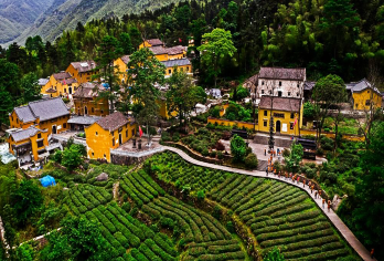九华山肉身宝殿+化城寺+百岁宫一日游：探索九华山肉身舍利之谜【懒人专线、专属管家、摸佛脚、99米大铜像】