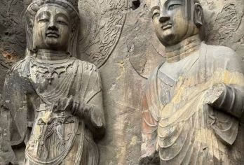 【8人/15人精致小团】龙门石窟半日游|2小时深度讲解+耳麦【[资深导游]8 人/15人封顶精品小团，品质在线！资深导游带队，洛阳历史文化讲解细致，读懂景点故事】