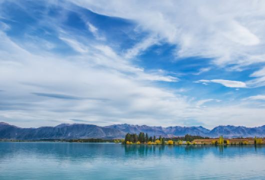 新西兰但尼丁奥塔哥半岛野生动物与历史建筑一日游【新西兰专业司导，可定多日，团建，商务出行，可全程私家定制（详情请私客服小天）】