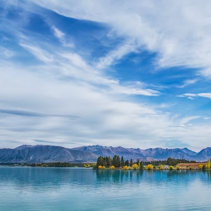 新西兰但尼丁奥塔哥半岛野生动物与历史建筑一日游