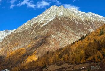 成都理小路摄影轻徒步一日游【徒步入门：休闲徒步线路，丛林穿校，山间漫步】