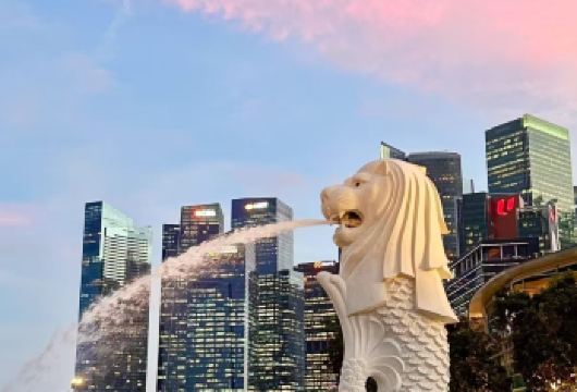 新加坡市区一日游（10小时用车/景点任选）【市区上门接送】【专属线上管家服务+当地华人司机，给您专业的服务保障】