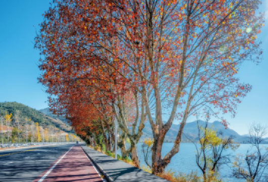 【大理起止】大理环洱海一日游+喜洲+双廊+理想帮+磻溪村【[打卡景点]磻溪村网红S湾+360度环洱海+小普陀+喜洲+双廊+理想邦】