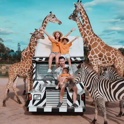 【私家小团，专车出行】北碧府动物园+桂河大桥+死亡铁路一日游