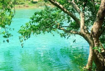 德天跨国瀑布景区+明仕田园一日游【无套路无购物店+含接驳车】【[水陆空 360° 全景体验]界河漂流赏跨国瀑布磅礴，登高望越览中越风光，尽览德天边境异域风情。】