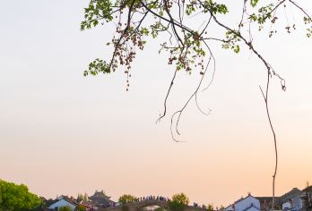 上海朱家角古镇景区【专车接送/大咖讲师2-3小时深度讲解】【在精选私家团导游的引领下深度了解朱家角古镇】