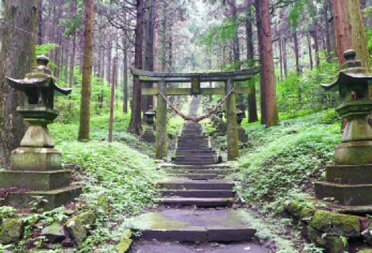 日本福冈阿苏山-白川水源-上色见熊野座神社【中文专车】【上色见熊野座神社白川水源一日游】