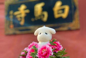 龙门石窟+洛阳博物馆+白马寺一日游【区域内接/含讲解耳麦】【[主城区接早]行程关联地图范围内酒店上门接，返程送达丽景门、西工小街、解放路地铁站、洛阳火车站】