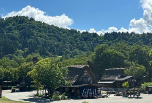 日本名古屋白川乡+飞驒高山一日游【中文司机/包车服务】【尊享一对一高端行程定制，多日豪华包车专属礼遇，专业旅行顾问24小时恭候垂询。】