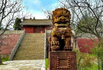 飞云楼+李家大院+后土祠+稷王庙+马村砖雕墓+青龙寺拼车一日【[万荣+稷山]精品小团、国宝之旅、拒绝走马观花、无二次消费，景点有充足时间游览，不催促，保姆级游览】