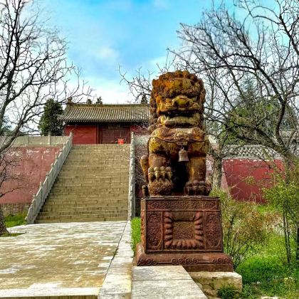 飞云楼+李家大院+后土祠+稷王庙+马村砖雕墓+青龙寺拼车一日