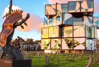 圣诞元旦必囤 阿德莱德海上宫崎骏同款火车+酒庄菲尔半岛一日游【菲尔德半岛/戴伦堡魔方酒庄/维特港/花岗岩岛/葡萄酒庄/大鸭号/库克蒸汽火车/索芙特羊驼农场】