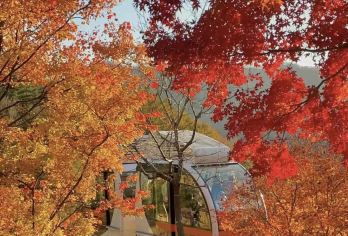 首尔北村、南山谷韩屋村/与和谈林一日游【清晨漫步600年历史的北村韩屋村，探访南山谷传统庭院与民俗表演】