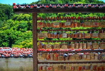 胜尾寺+神户港+有马温泉一日游【门票全含 | 保证绿牌正规营运车辆，安全合法，拒绝白牌无证违法车辆】
