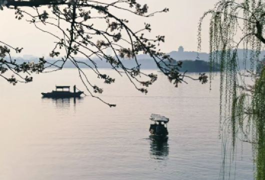 杭州西湖雷峰塔灵隐寺一日游【29人/15人/包团纯玩讲解团】【高品纯玩无购物，门票全含无自费，行程透明无套路！】
