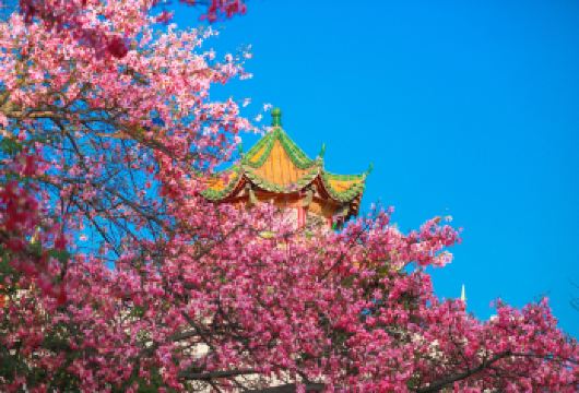 东莞观音山+松山湖+西溪古村一日游|私家小团上门接送+含门票【私家旅行：一单一团，不拼客，专属旅行；品质服务：5车上门接送，专职司机护航】