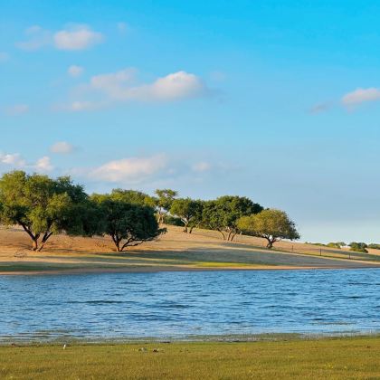 清凉锡盟 | 多伦湖夏韵·湖边漫游一日诗意行