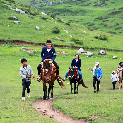 【踏青春游】关山草原全景纯玩一日游