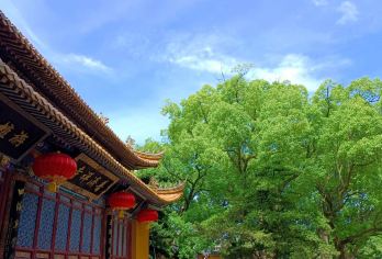 舟山普陀山风景区一日游【一价全含.纯玩祈福静心之旅】【[精心安排]祈福、许愿、还愿必到精华景点。】