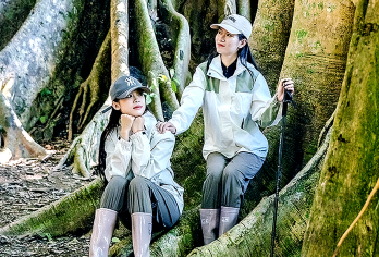 西双版纳中科院植物园日游+夜游【专业导游讲解|夜游植物园】【[亮点景区]探秘版纳5A景区，揭秘神秘热带动植物，增长知识】