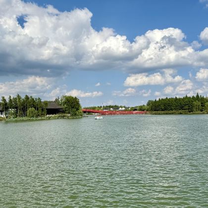 盐城欧风花街+盐镇水街+海盐博物馆+大洋湾一日游可中英文服务