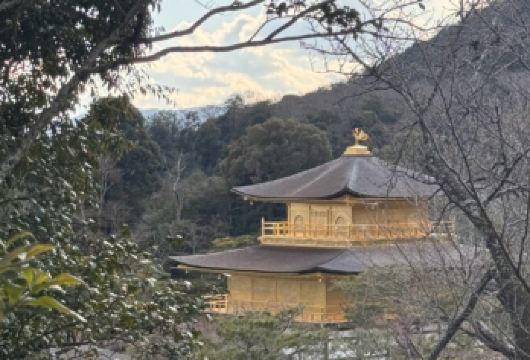 日本大阪-黑门市场-通天阁-心斋桥-道顿堀-经典经典-购物~【专业行程定制，精选热门景点，高效游玩不走回头路，贴心服务保障，轻松】