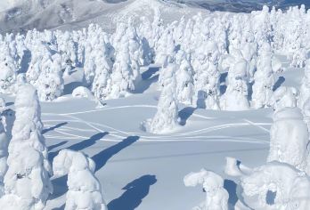 日本宫城藏王狐狸村＋藏王树冰一日游【邂逅萌狐丨仙台出发】【打卡宫城藏王狐狸村，与百只萌狐亲密互动。】