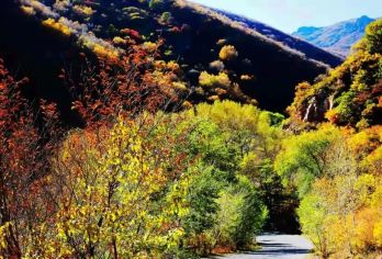 东灵山徒步1日游·高山草甸·赏云海【腾云驾雾赏旷世之美-日爬东灵山】
