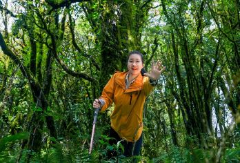 高黎贡山阿祖姆侏罗纪原始森林9公里徒步一日游（毛毛球+瀑布）【原始森林深度探秘：穿梭于高黎贡山西支主峰的毛毛球原始森林，这里宛如被时光遗忘的秘境；】