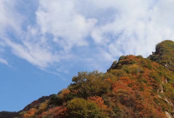 翠华山一日游【小团出游，赏秀美湖光山色，追旷野氧吧自由】【西安市三环内接送，小车出行】