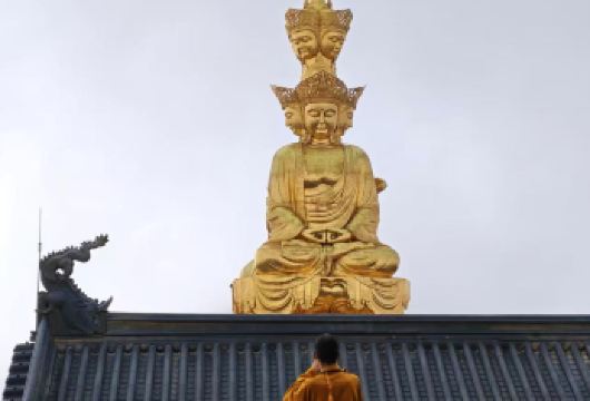 成都出发-【峨眉山看猴子＋峨眉山看日落|登金顶】包车一日游【可选英文导游|专车接送|行程可调|可定制行程】