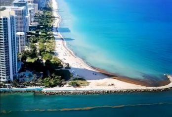 美国迈阿密-第八区-海湾公园-温尼伍德墙-包车私享【专业行程定制，精选热门景点，高效游玩不走回头路，贴心服务保障，轻松】