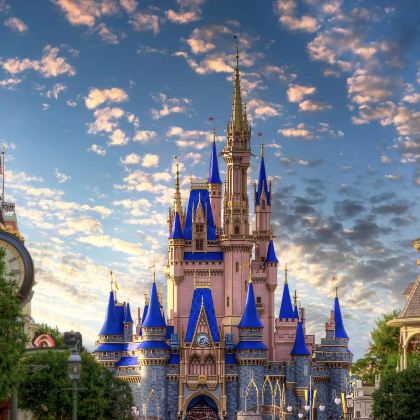 美国奥兰多：市区-华特迪士尼世界 中文专车 单程接/送