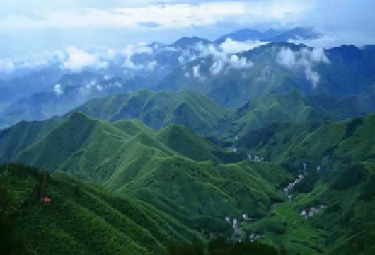 【莫干山一日游】江南第一山，纯玩无购物【低于12人活动自动取消（只能原额退款或改其它同期成团线路，不做任何赔偿）】