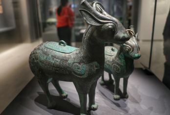 【含门票/2.5小时人工讲解/含耳麦】陕西考古博物馆半日游【[精品小团]10-25人，超多班次总有一班适合您】