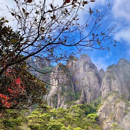 三清山风景区+南清园景区+一线天一日游