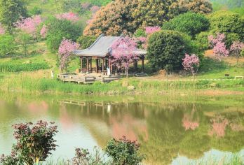 广西南宁：导游地陪/展会/商务翻译英文/俄语/日语小语种H【全程中文/英文/俄语/多种小语种服务，专业讲解，沟通无障碍，行程景点可调可定制。】