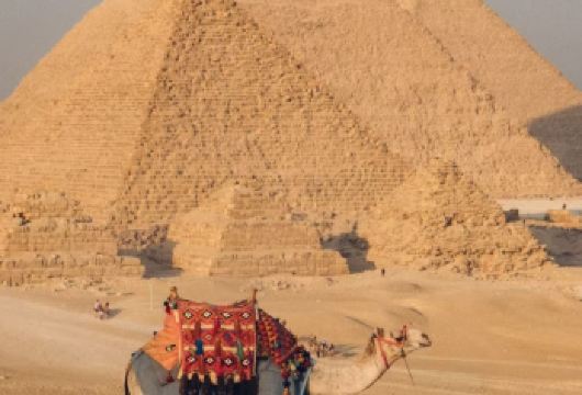 埃及开罗国际机场接送机 | 随时可接/专车直达【开罗机场接送机，可定制行程，另有翻译地陪（可提供商务翻译需求）】