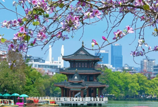 私家团上门接送+惠州西湖+东坡祠+罗浮山风景名胜区1天游【私家旅行：一单一团，不拼客，专属旅行 品质服务：车上门接送，专职司机护航】