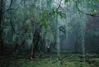 徒步丽江魔法森林波多罗-文海（单日亲子路线）【全程领队带队】