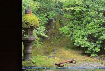 日本京都往返奈良-奈良公园-若草山-春日大社-小鹿红叶季~【专业行程定制，精选热门景点，高效游玩不走回头路，贴心服务保障，轻松】