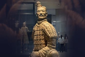 兵马俑+华清宫+长恨歌一日游【可选长恨歌/含返程车】【至诚讲解储备：严选胖瘦团讲师。深度讲解3H，努力提供高质量的讲解+服务。给您一场纯粹的历史解读！】