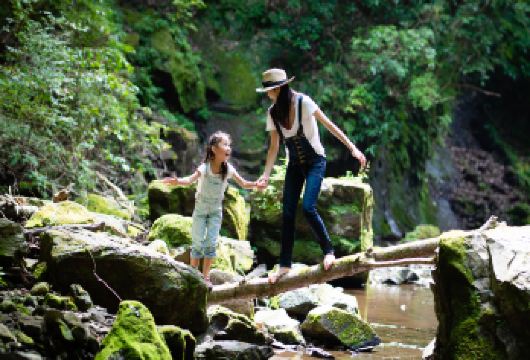 西双版纳基诺山雨林徒步一日游【体验型线路+专线专玩+无隐消】【[逆净雨林]释放天性的“野”、回归原生、溯源该有的野趣、探奇独树成林景观、寻获一场难忘的徒步】