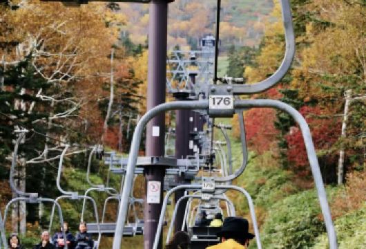 日本北海道大雪山国立公园+层云峡【秋季赏枫/咨询优惠】【尊享一对一高端行程定制，豪华包车专属礼遇，专业旅行顾问24小时恭候垂询。】