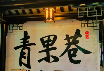 恐龙园尖叫 + 青果巷赏古，常州 1 日欢乐行【阿尔卡迪亚酒店位置优越】