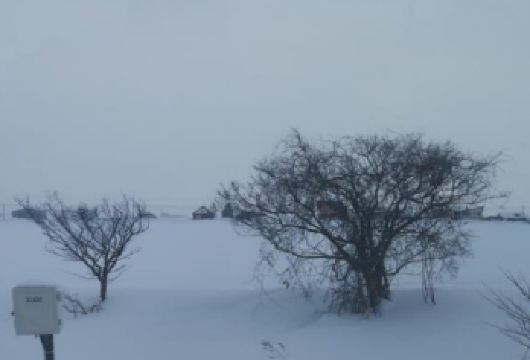 日本北海道+旭川动物园+白须瀑布一日游/行程可调-可定制多日【包车一日游，解锁旅行新方式！独立车辆配备经验丰富的老司机，为您量身打造专属行程。】